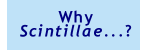 Why Scintillae...?